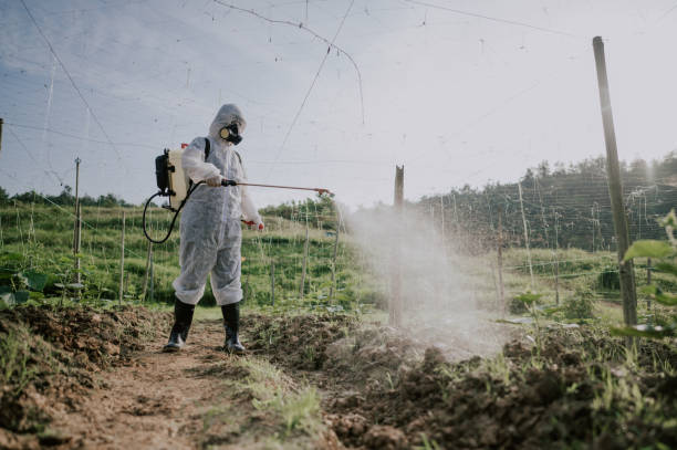 Best Pest Control Treatment  in Osceola Mills, PA