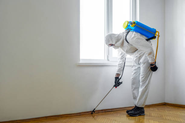 Best Pest Prevention Services  in Osceola Mills, PA