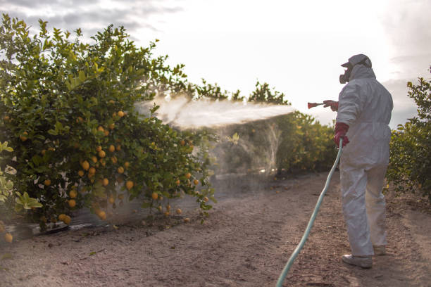Best Commercial Pest Control Services  in Osceola Mills, PA