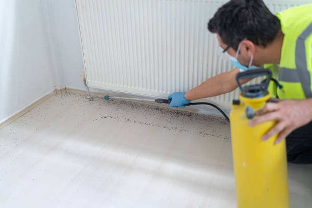 Best Pest Inspection Near Me  in Osceola Mills, PA